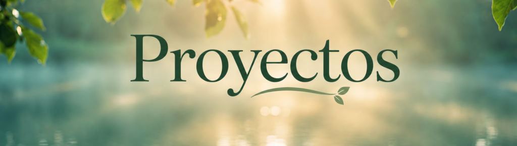 proyectos
